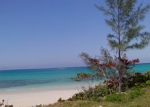 VERKAUFT! 10 Bahamas Grundstücke von 29.000 € bis 700.000 € zu verkaufen. VERKAUFT!