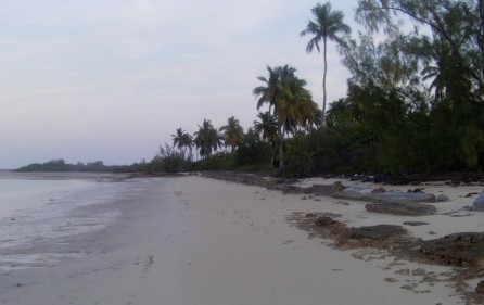 Bahamas Grundstück auf Andros, 10