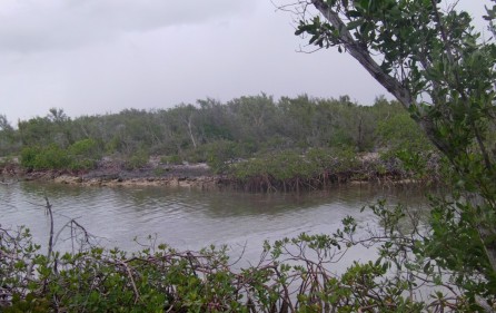 Bahamas Grundstück auf Andros, Creek 1