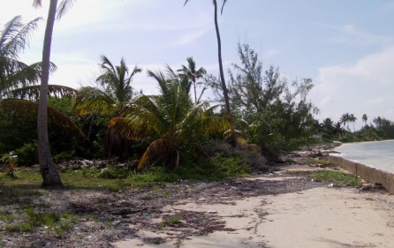 Bahamas Grundstück auf Andros, 2