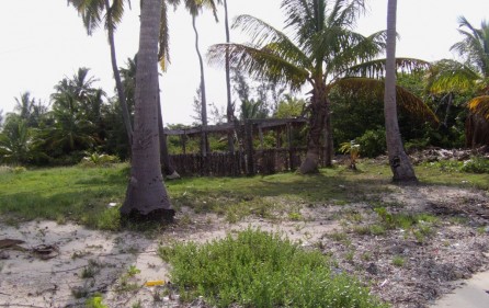 Bahamas Grundstück auf Andros, 1