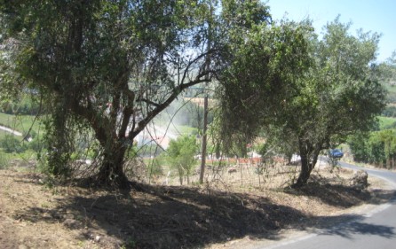 Grundstück Alenquer, Ansicht 15