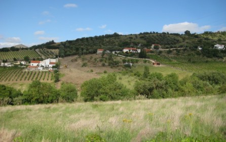 Grundstück Alenquer, Ansicht 29