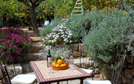Garten mit Terrasse