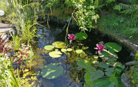 Gartenteich